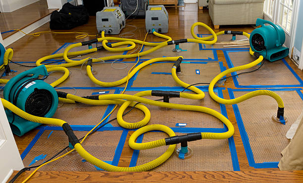 Professional Water Damage Restoration technician working in Sheridan, AR